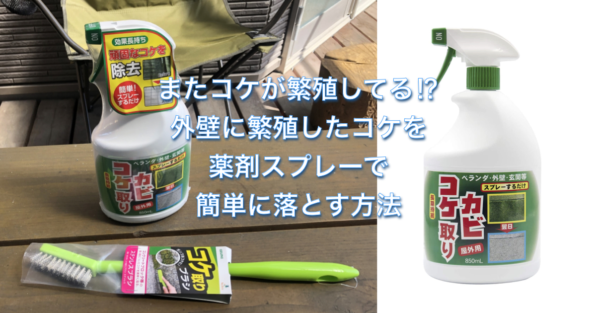 ファクトリーアウトレット コケカビ取り 420ml x2本組 コケ カビ こけ かび 苔 掃除 除去 防止 スプレー コケ取り カビ取り 外壁 墓石  ベランダ 門柱 玄関 ブロック塀 コンクリート discoversvg.com